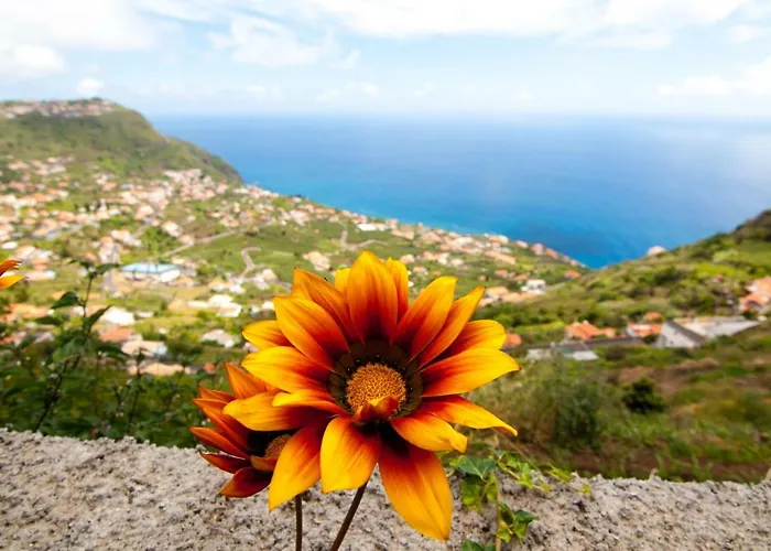 Casa Da Tenda Daire Arco da Calheta (Madeira)